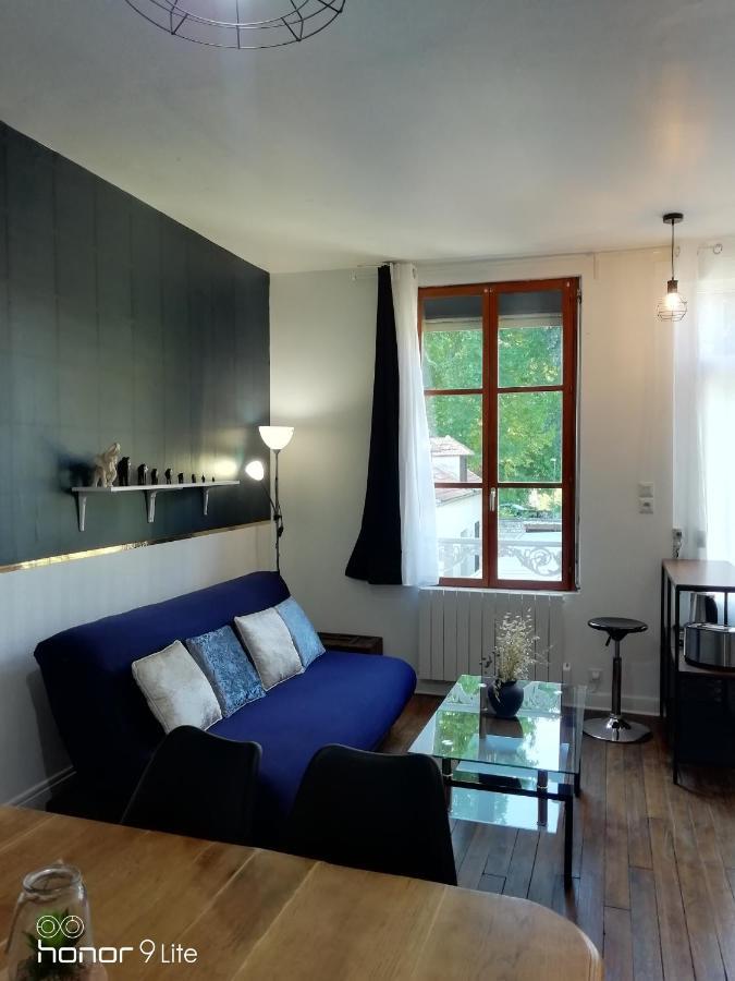 Centre Troyes Avec Vue Sur Parc, Simplicite D'Acces, Charme Et Confort Garanti Eksteriør billede